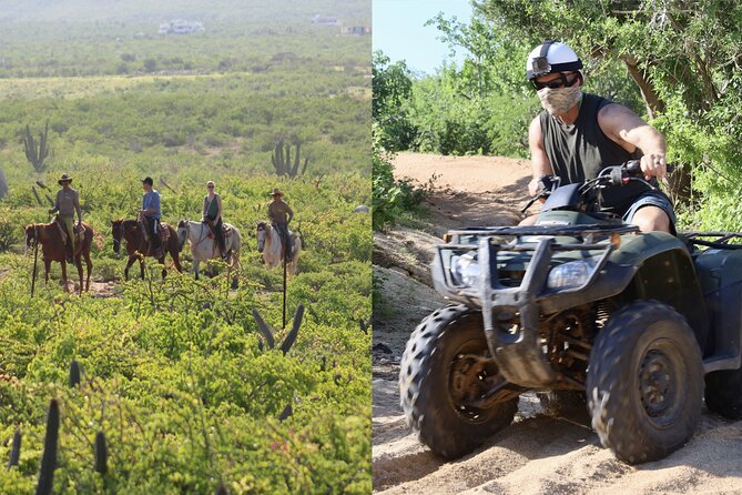 Los Cabos ATV and Pacific Horseback Riding Combo Tour - Two ways to see Baja in four hours