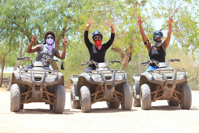 Los Cabos ATV and Pacific Horseback Riding Combo Tour - A ranch visit with a conservation angle
