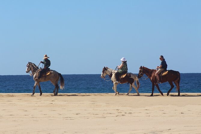 Los Cabos ATV and Pacific Horseback Riding Combo Tour - What is included, and where extra charges may appear