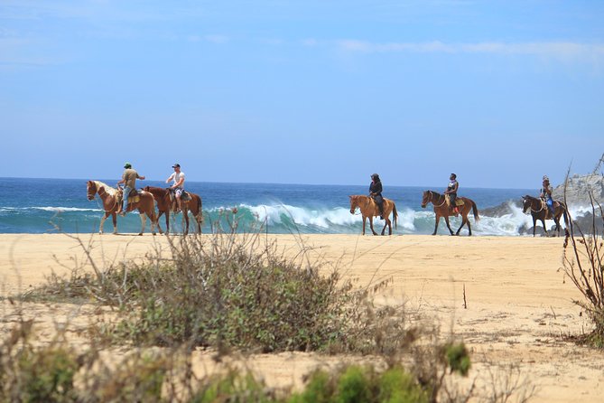 Los Cabos ATV and Pacific Horseback Riding Combo Tour - Riding an ATV through cactus and canyon country