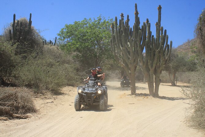Los Cabos Beach & Desert Tour in Automatic ATV + Tequila Tasting - Who will enjoy this Cabo outing most