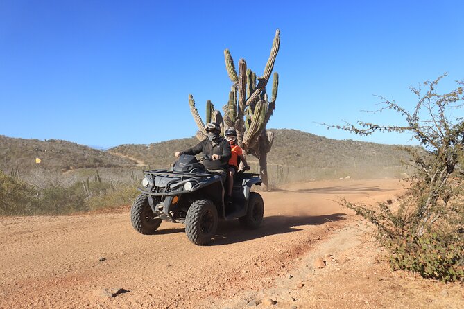 Los Cabos - COMBO Horseback Riding & ATV Tour - Why the horseback hour feels different