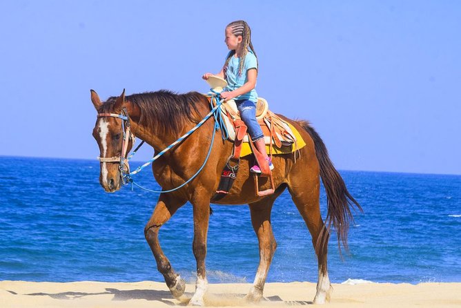Los Cabos - COMBO Horseback Riding & ATV Tour - The ATV route through canyons and riverbeds