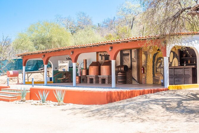 Los Cabos Costa Azul Zipline Eco-Adventure - Transfers, pickup timing, and cruise-ship planning