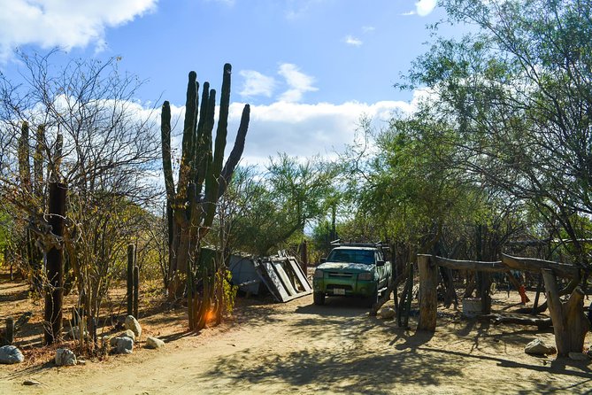 Los Cabos: Hiking at the Fox Canyon with Waterfall - Waterfalls, pools, and the cold-water reward
