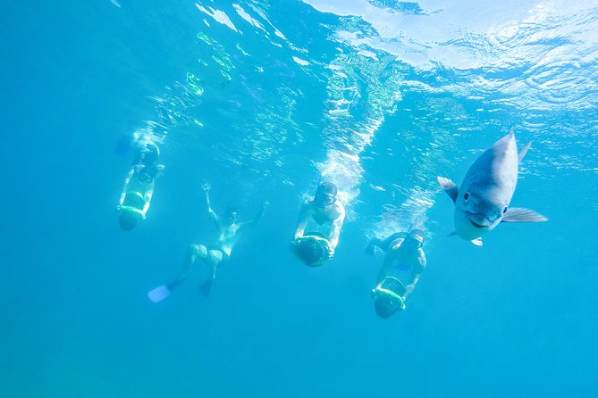 Los Cabos Power snorkel Adventure, Kayaking and Stand-Up Paddle - Key points to know before booking