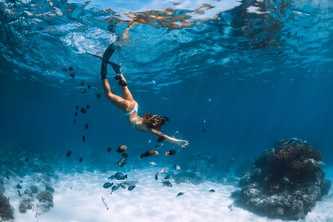 Los Cabos Power snorkel Adventure, Kayaking and Stand-Up Paddle - Chileno Bay and the water activities