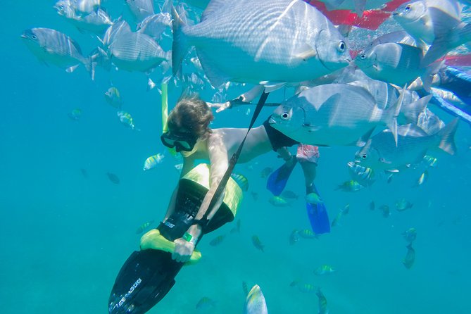 Los Cabos Power snorkel Adventure, Kayaking and Stand-Up Paddle - Price, group size, and the real value