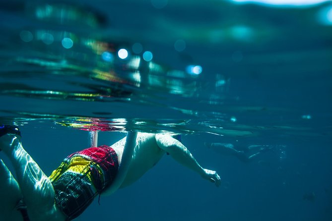 Los Cabos Snorkeling Tour to Chileno Bay and Santa Maria Cove - Transport, meeting points, and the small logistical details