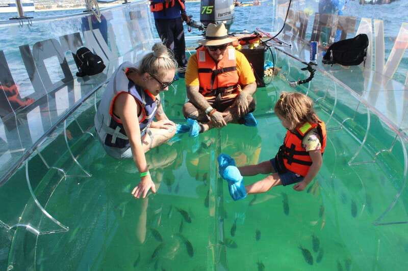 Los Cabos: Transparent Boat Tour with Optional City Tour - Choosing the city walk and cultural stops