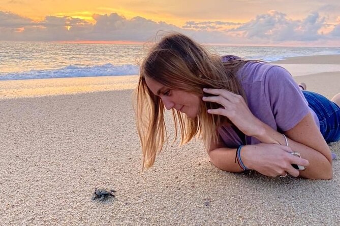 Los Cabos turtle release conservation program - Who will enjoy this most