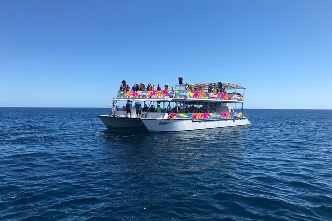 Los Cabos Whale Watching Cruise Including Breakfast - Searching the Sea of Cortez for gray and humpback whales