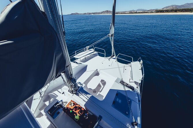 Luxury Whale Watch Cruise to The Arch Los Cabos - The Arch, Pelican Rock, and Cabo Bay