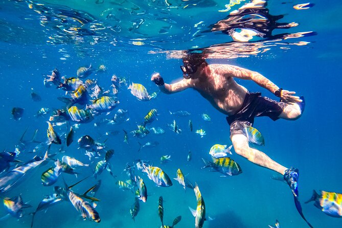 Luxury Yacht & Snorkel with All inclusive Open bar and lunch - What snorkeling is really like