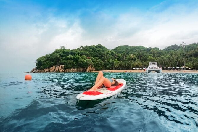 Luxury Yacht & Snorkel with All inclusive Open bar and lunch - Who will enjoy this cruise most