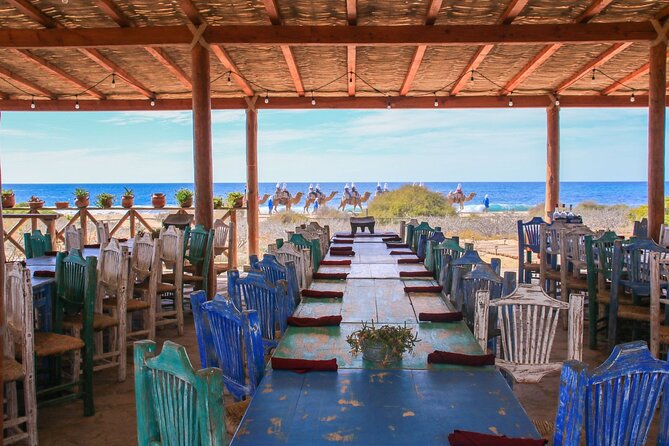 Magical Todos Santos Tour, Camel Ranch, Lunch and Tequila - An oceanfront Mexican buffet