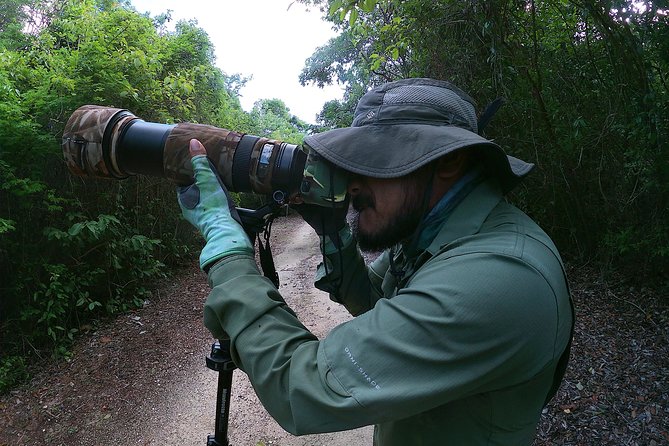 Mahahual and Costa Maya Birdwatching - Victor’s approach to finding elusive birds