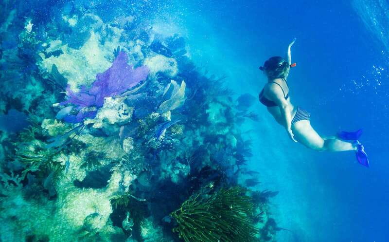 Mahahual: Snorkel Tour in Reef Lagoon - Key points at a glance
