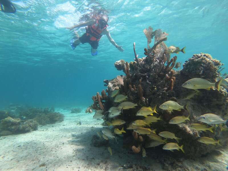 Mahahual: Snorkel Tour in Reef Lagoon - What the $37 price really covers