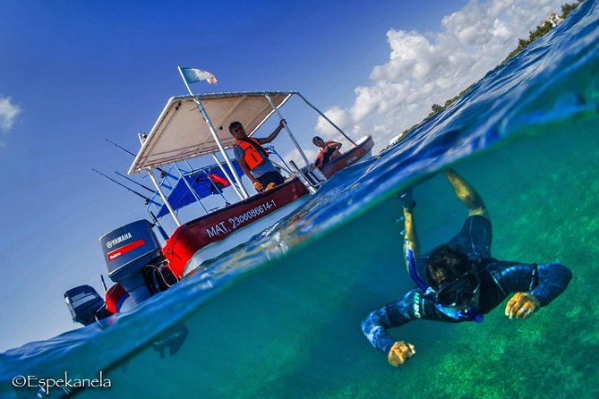Mahahual Snorkeling Adventure: Turtle Encounter - What the Mahahual lagoon tour is really like