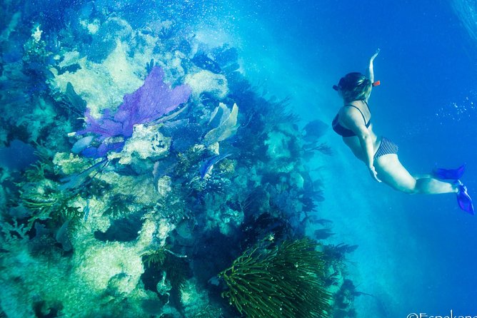 Mahahual Snorkeling Adventure: Turtle Encounter - Water conditions can change the whole outing