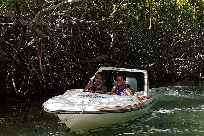 Mangrove and Lagoon Speed Boat Tour - Who will enjoy this Cancun boat tour