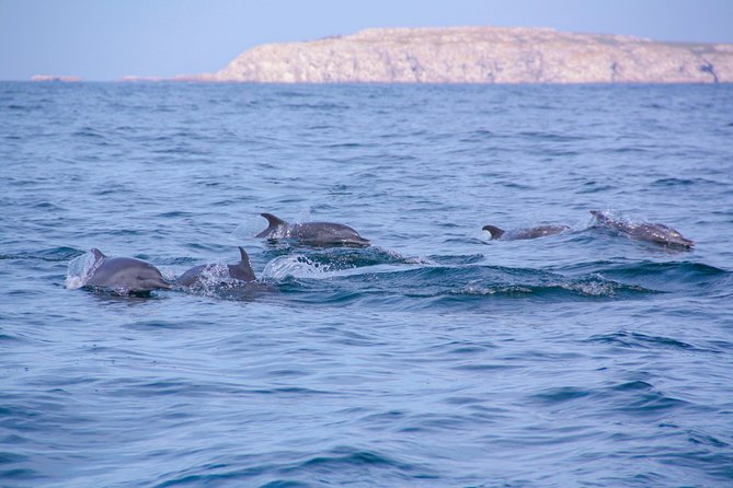 Marietas Hidden beach trip from Puerto Vallarta - Snacks, water, and what the price covers