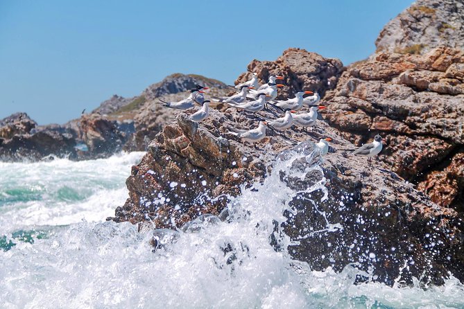 Marietas Hidden beach trip from Puerto Vallarta - Who should book this Marietas tour?