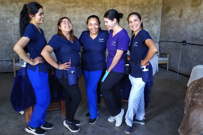 Massage Experience with Certified Therapists & Pickup Drop-Off - How the value compares with shipboard spas