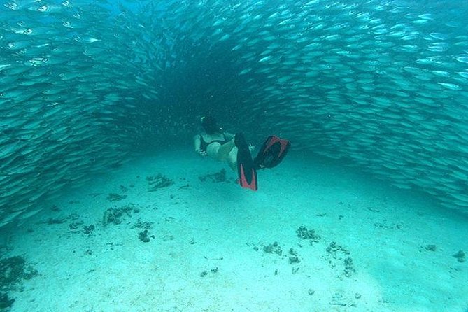 Mayan Adventure from Cancun - Who should book this Mayan Adventure