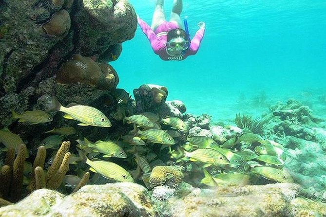 Mayan Adventure from Playa del Carmen - Transport from Cancun, Riviera Maya, and Playa del Carmen