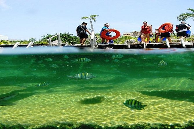 Mayan Adventure from Playa del Carmen - Timing, cancellation, and the early start