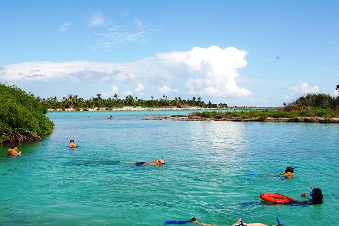 Mayan Adventure Snorkeling Tour from Playa del Carmen or Riviera Maya - Three kinds of water in one Riviera Maya day