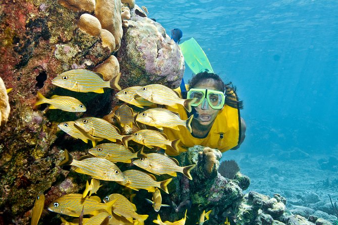 Mayan Adventure Snorkeling Tour from Playa del Carmen or Riviera Maya - The open cenote: jungle swimming with an optional thrill