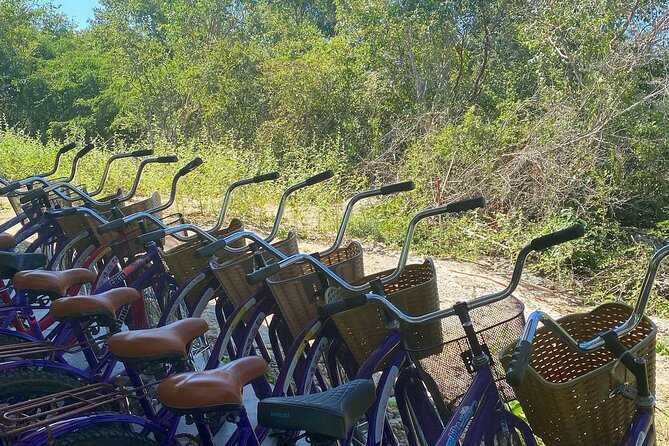 Merida : 4 Santa Barbara Cenotes and Bikes with Lunch - Is the $108.43 price good value?