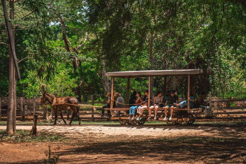 Merida: Hacienda Sotuta de Peon w/ Cenote & Henequen Tour - Timing, groups, and language