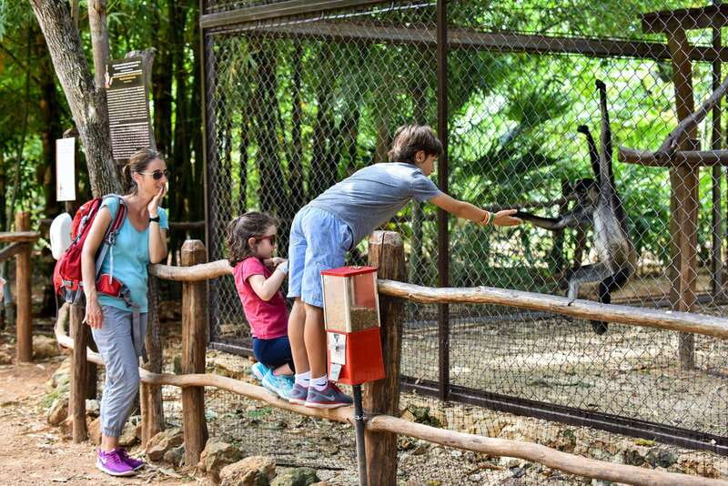 Mérida: Uxmal, Cenote and Chocolate Museum Choco-Story - The cenote question you should settle first