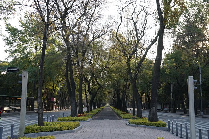 Mexico City: 19 City Highlights Bicycle Tour - From the Hemiciclo toárez to Bellas Artes