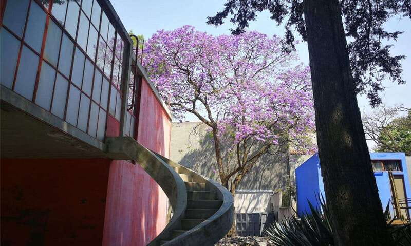 Mexico City: Frida Kahlo-Diego Rivera Studio House Tour - Meeting Abe at your hotel