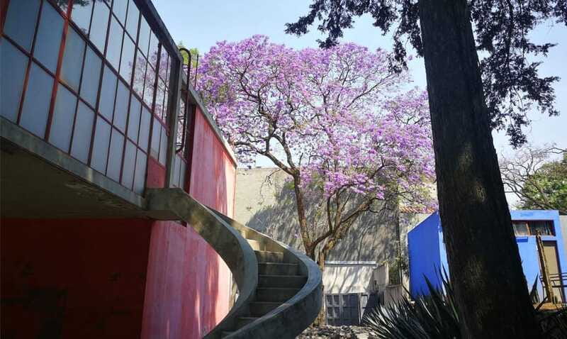 Mexico City: Frida Kahlo-Diego Rivera Studio House Tour - Language, timing, and practical planning