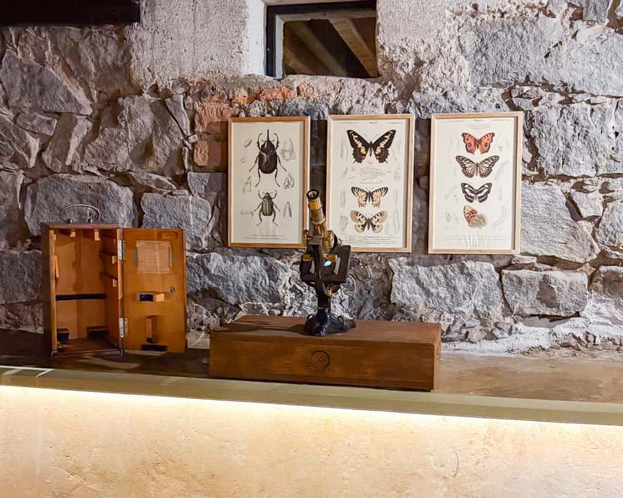 Mexico City: Frida Kahlo Museum Entry Ticket w/Digital Guide - Who should book this experience?