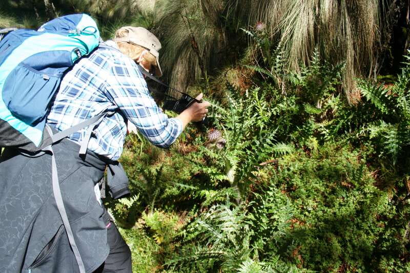 Mexico City: Guided Volcano Trek with Lunch - Popocatepetl, Iztaccihuatl, and the view factor