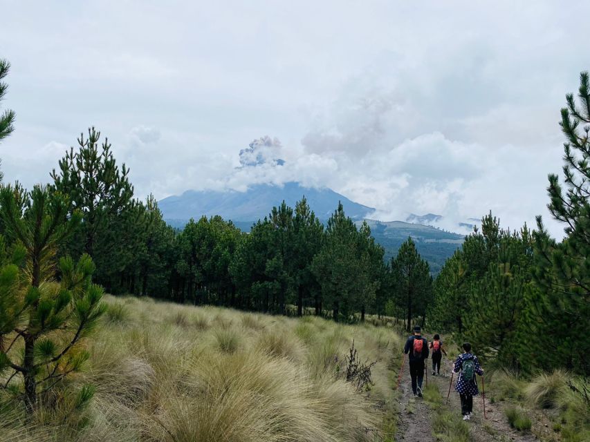 Mexico City: Guided Volcano Trek with Lunch - Through the Amalacaxco Ravine
