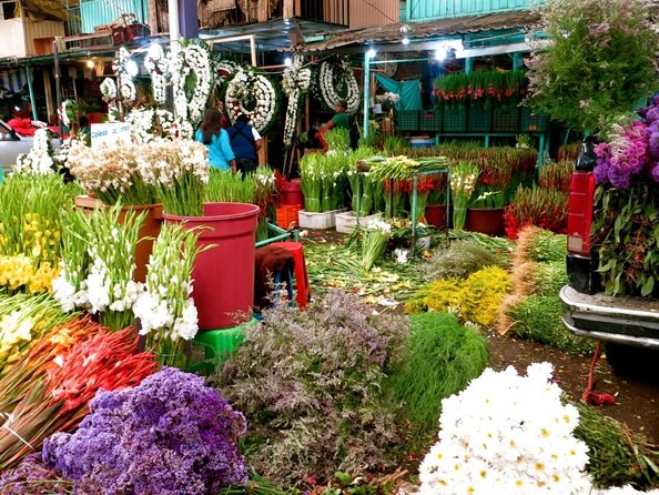 Mexico City: Hidden Markets, Street Food & Salsa-Making Tour - Guides Make the Difference