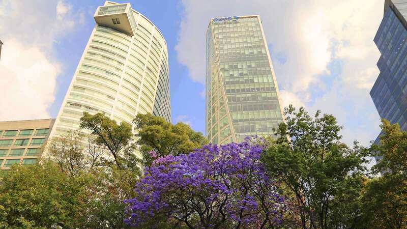 Mexico City: Hop-on Hop-off City Tour by Turibus 1-Day Pass - Polanco Circuit: Museums, shopping, and polished streets