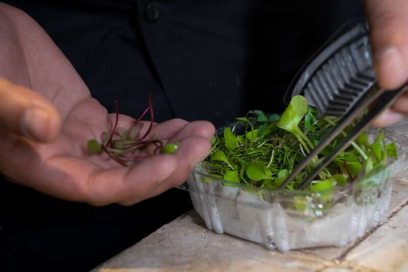 Mexico City: Mexican Cooking Class - The meal at the end is part of the lesson