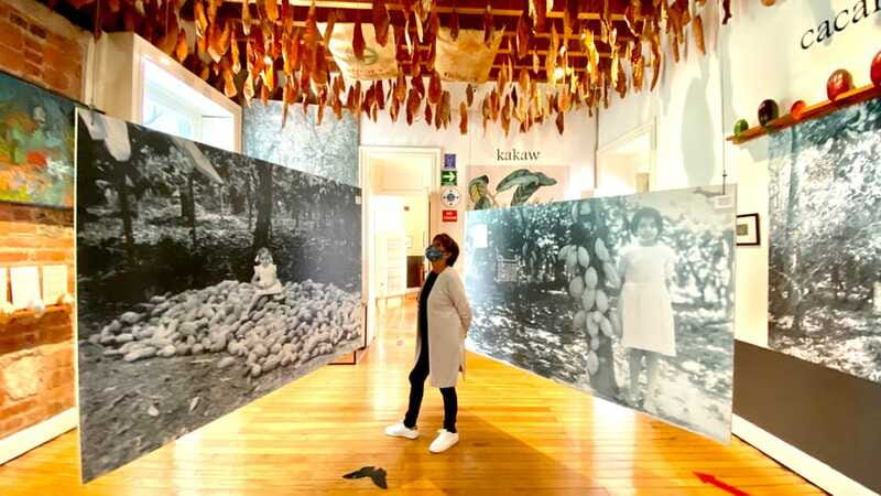 Mexico City: MUCHO Museum of Chocolate Entrance Ticket - Should you book the MUCHO Chocolate Museum?