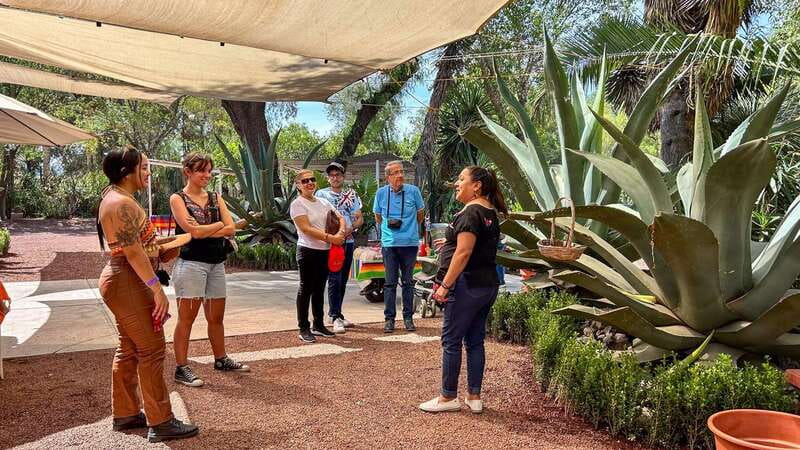 Mexico City: Teotihuacan, Tlatelolco & Basilica of Guadalupe - Meeting the group in central Mexico City