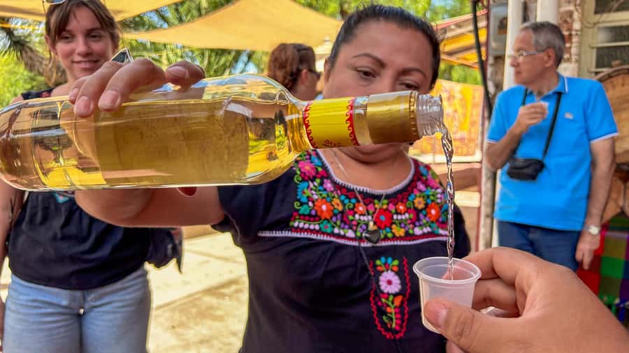 Mexico City: Teotihuacan, Tlatelolco & Guadalupe Shrine Tour - Is $49 good value?