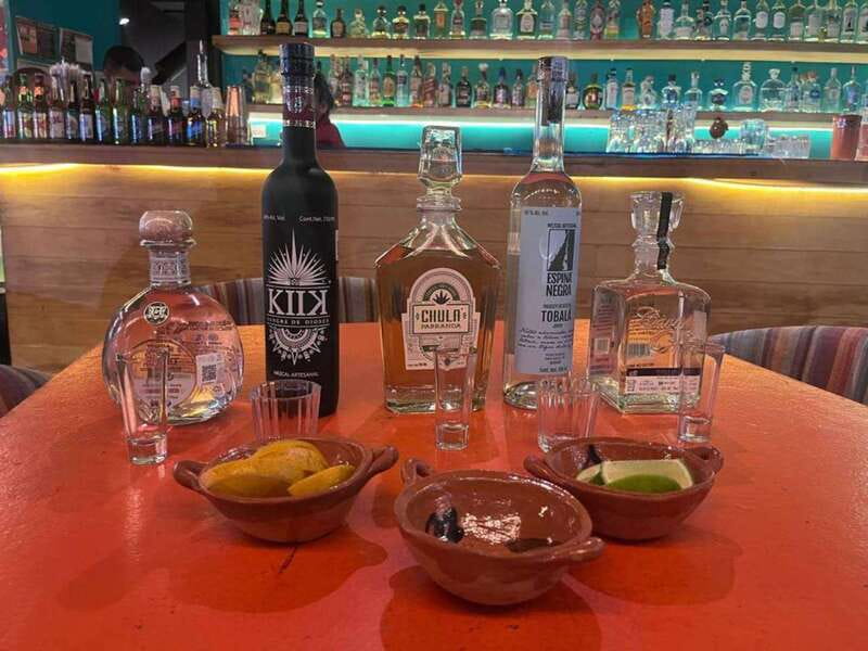 Mexico City: Tequila and Mezcal Museum Tour with Tasting - What this Mexico City tasting actually teaches you